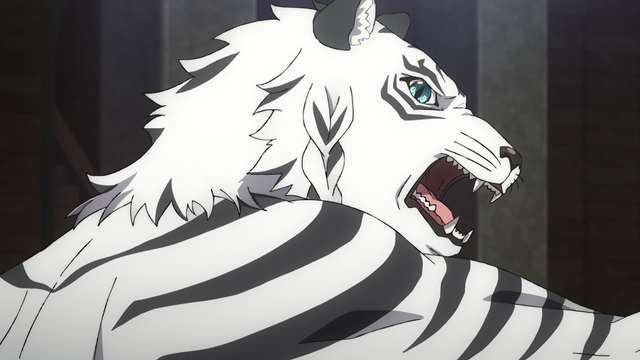 T4 EP. 5 - Tigre Branco