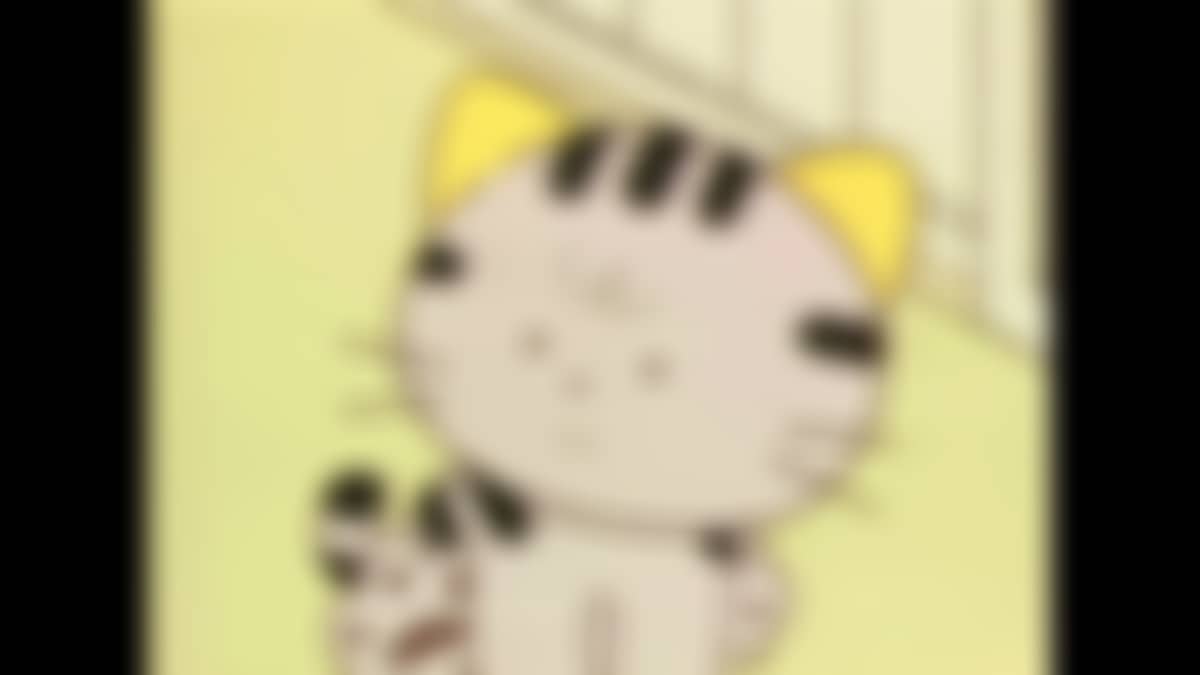 TAMA of the 3rd District -Have You Seen My TAMA? Paradise of