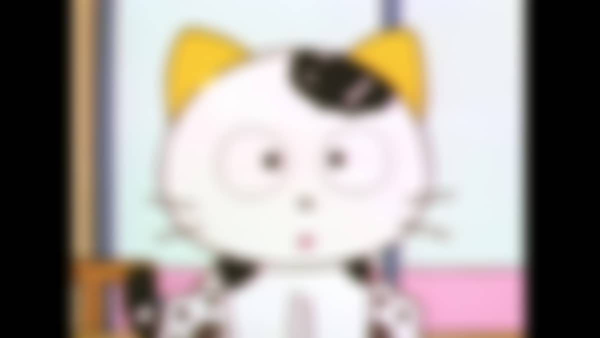 TAMA of the 3rd District -Have You Seen My TAMA? (1994) The