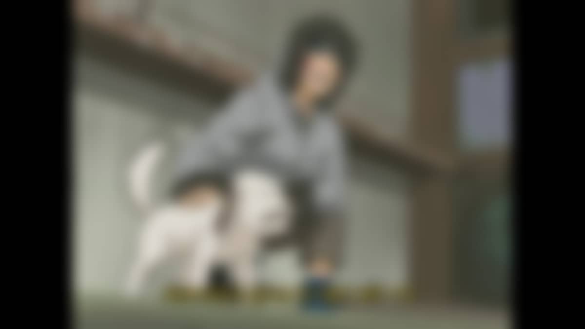 Season 2 Akamaru Unleashed! Who's Top Dog Now? - Watch on Crunchyroll