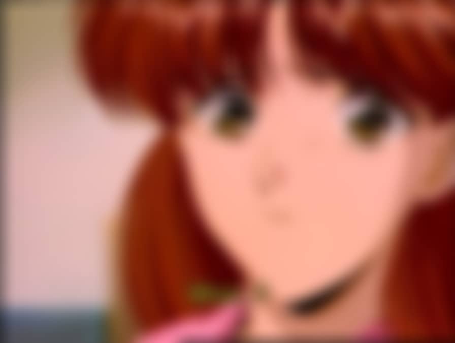 芳朱作　極上　吉祥雛　トニコ　248 g 東S8-0609☆2F febc6b3e1784634c9bef23d0b41a0a