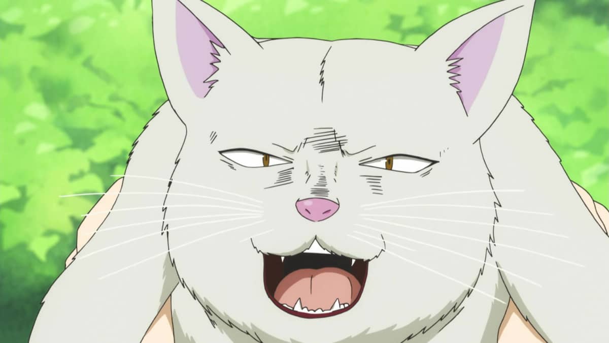 Handa With Racan Handa-kun Handa-kun and the Continuation of Episode 1 Handa-kun and the ...