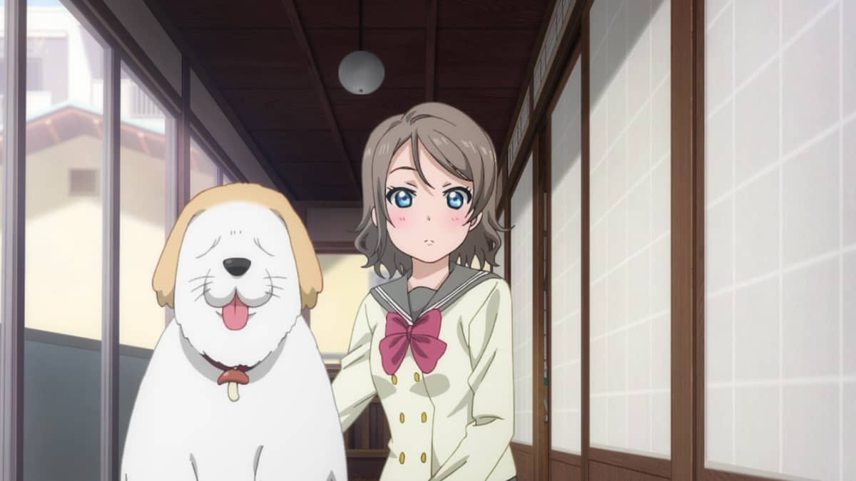 Love Live! Sunshine!! Taking in A Dog - смотреть на Crunchyroll