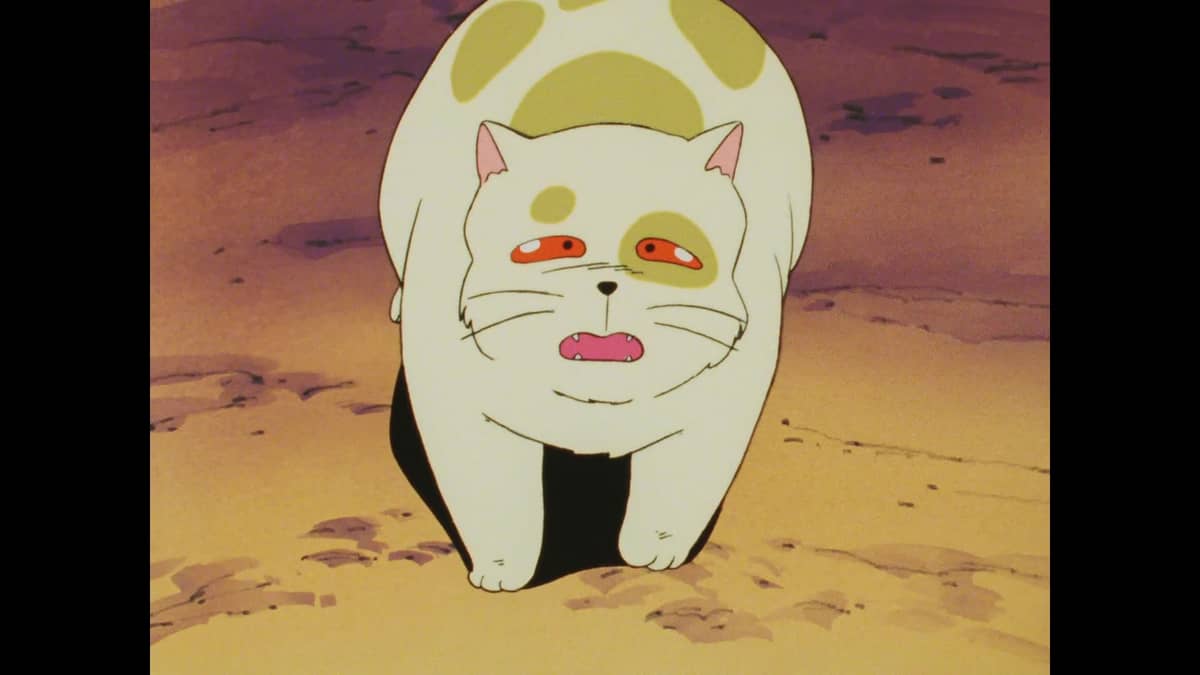 Kimagure Orange Road Don't Cry Jingoro! The Heat of Young Love