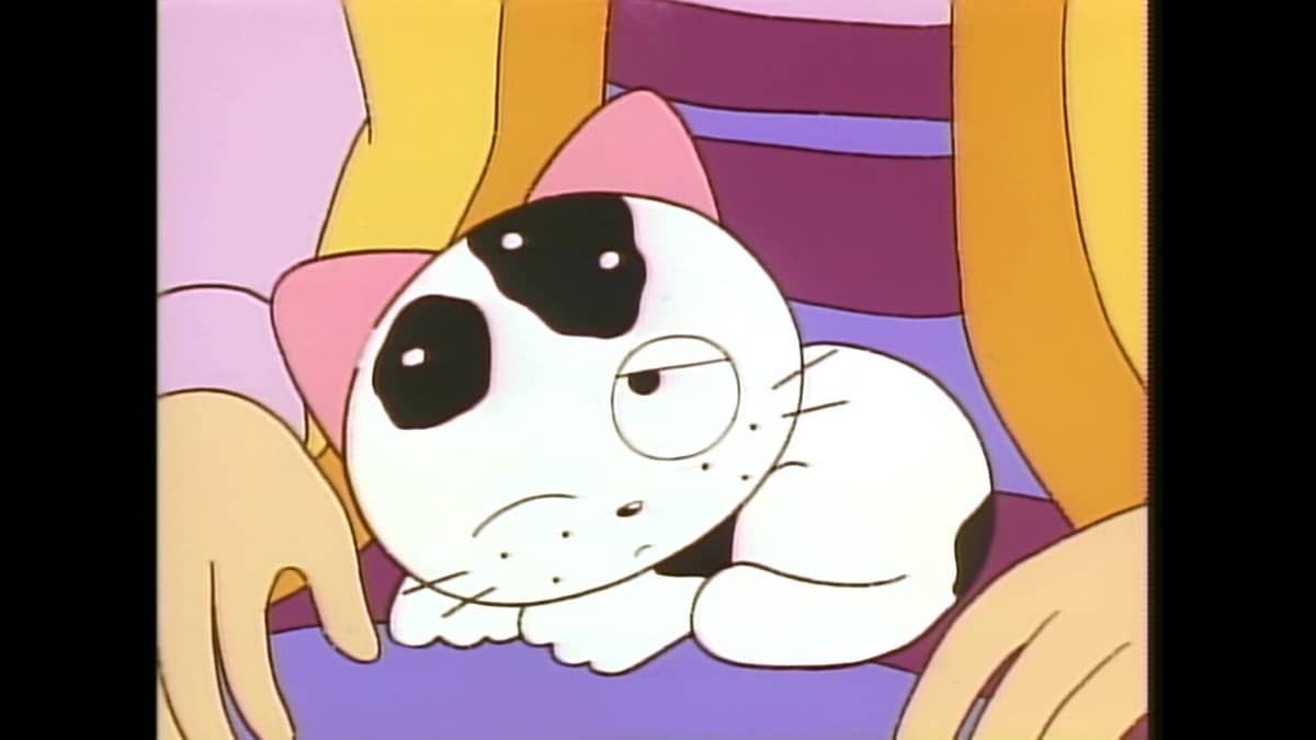 TAMA of the 3rd District -Have You Seen My TAMA? The Seven Names