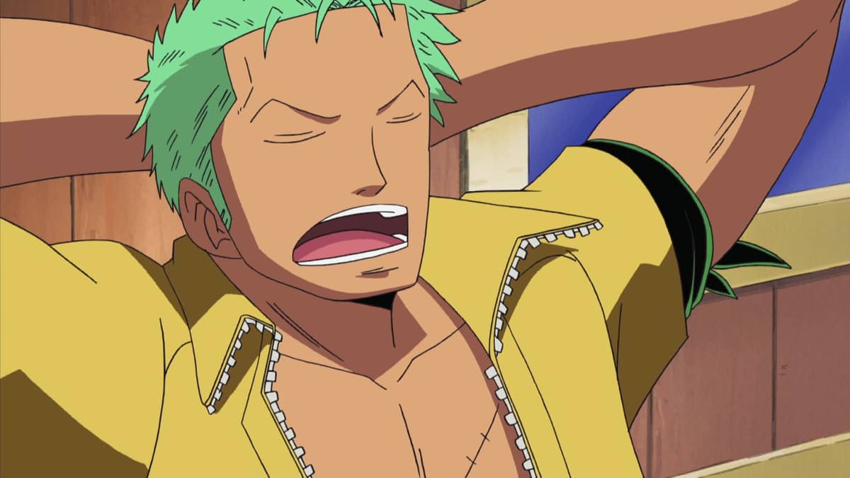 Water Seven (229-263) Clash! Demon-Slasher Zoro vs. Ship-Slasher T
