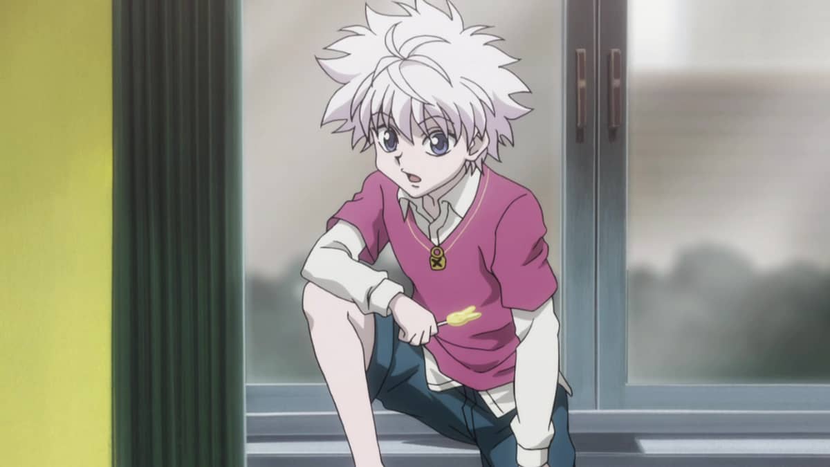 HUNTER×HUNTER Hunter x Hunter - Gon and Others 2.5