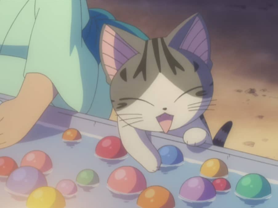 Chi's Sweet Home - Chi's New Address Season 3 Chi, Experiences