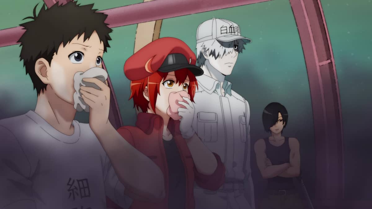 Cells At Work Season 2 Dub Cells at Work!! (English Dub) Harmful Bacteria - Watch on Crunchyroll