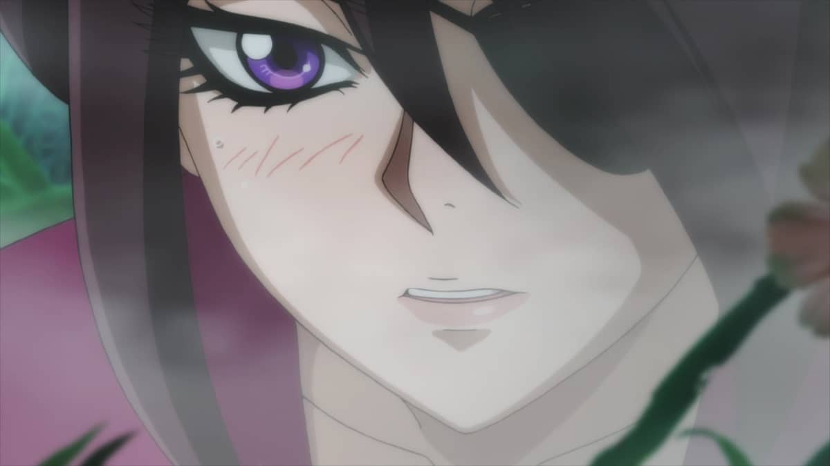 Basilisk : The Ouka Ninja Scrolls The Cherry Blossoms Have