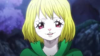 ワンピース アニメ Ain | The Fairy One Piece Tail Universe Wiki | Fandom