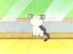 Chi's Sweet Home - Chi's New Address Season 1 Chi, Has an Idea - Watch ...