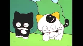 ｔａｍａ☆彡❤️ Watch TAMA of the 3rd District -Have You Seen My TAMA