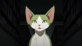 Nyaight of the Living Cat D-REX, o gato do planeta brincar