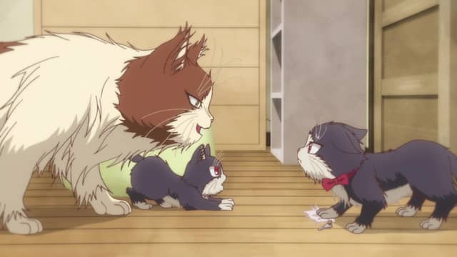 Crunchyroll My Roommate Is A Cat My Roommate is a Cat (English Dub) What Connects Us - Watch on Crunchyroll