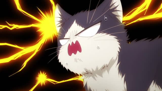 Crunchyroll My Roommate Is A Cat My Roommate is a Cat (English Dub) I Touch You - Watch on Crunchyroll