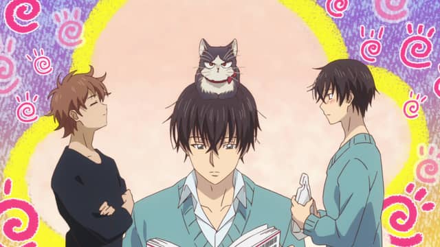 Crunchyroll My Roommate Is A Cat My Roommate is a Cat (English Dub) Because You're Here - Watch on