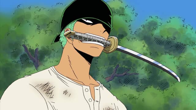 One Piece Water 7 (207325) (English Dub) Zoro Bares His Fangs! a Savage Animal Stands in the