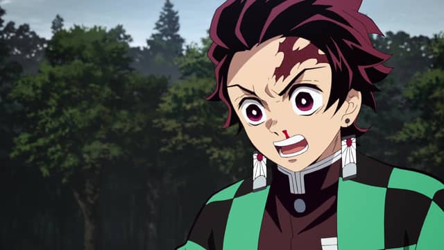 Demon Slayer Kimetsu no Yaiba The House with the Wisteria Family Crest Watch on Crunchyroll