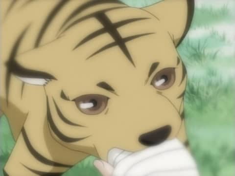 Fruits Basket (2001) (English Dub) Episode 17 Watch on Crunchyroll