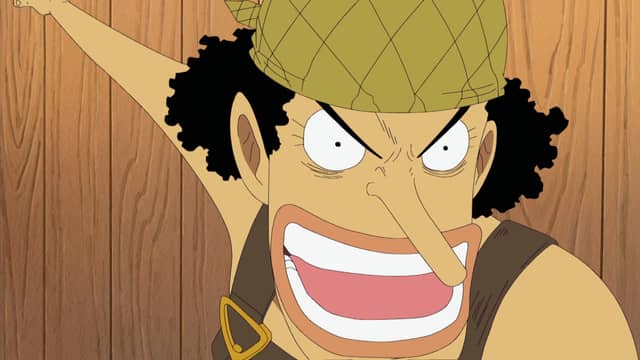 One Piece Water 7 (207325) (English Dub) Was It Lost? Stolen? Who Are