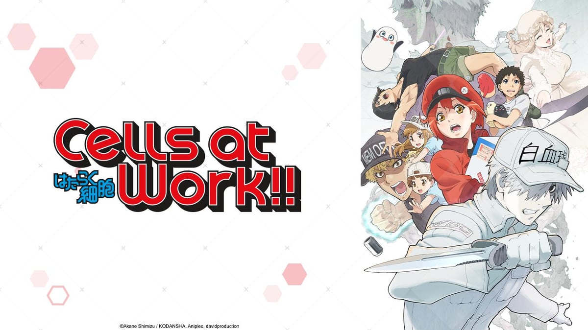 Cells at Work! на русском - Crunchyroll