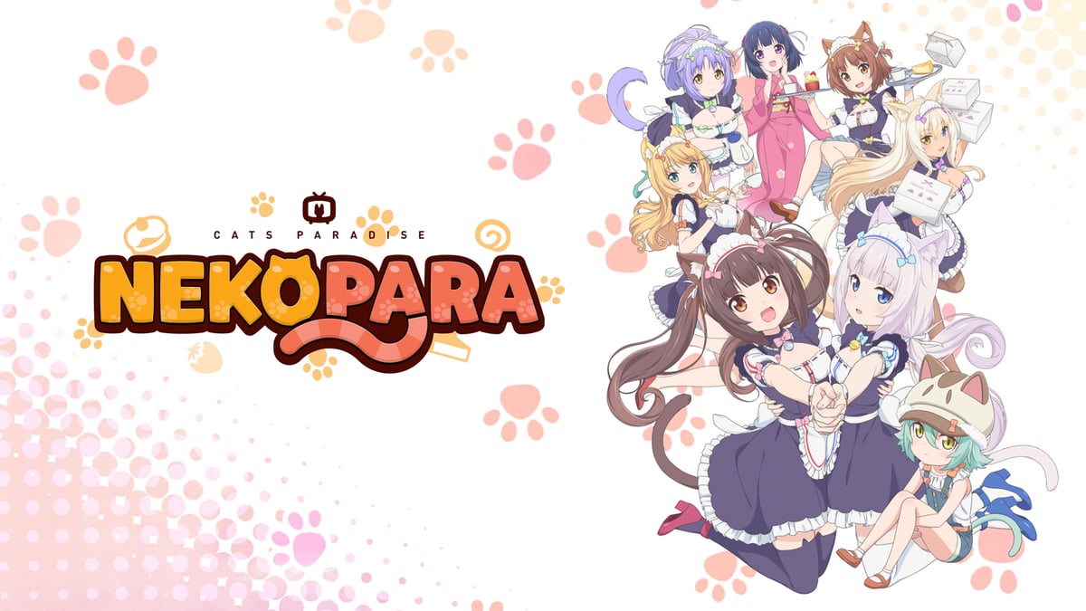 Nekopara на русском - Crunchyroll