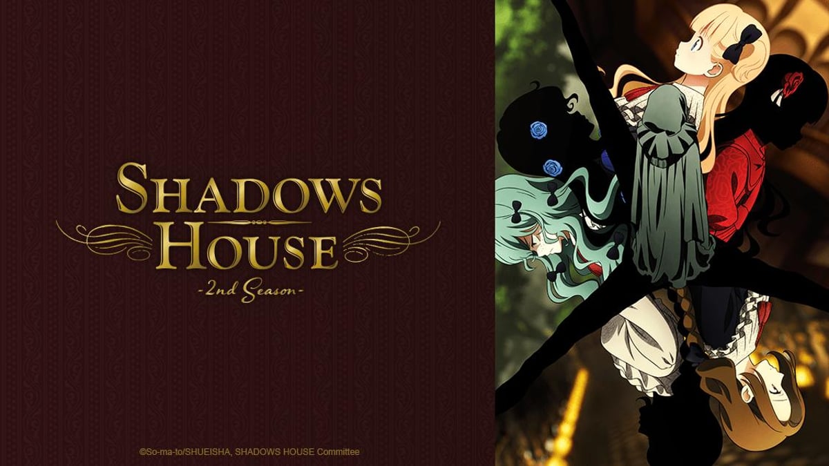 SHADOWS HOUSE