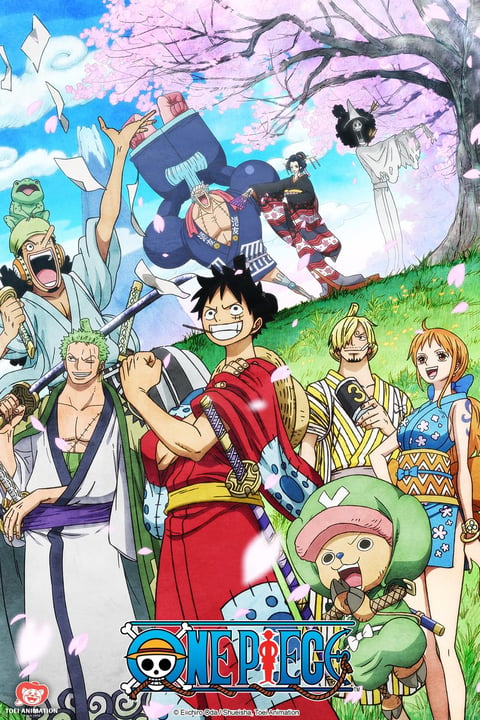 Watch One Piece (International) - Crunchyroll