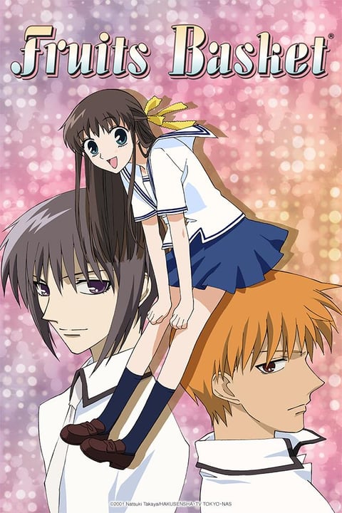 Fruits Basket Original Anime store Complete Series