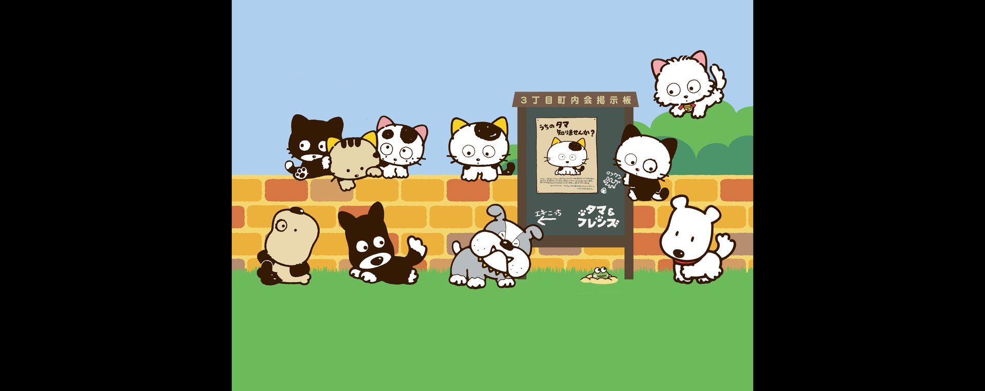 Watch TAMA of the 3rd District -Have You Seen My TAMA? (1994