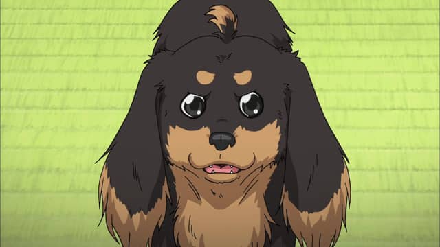 Dog & Scissors (English Dub) The Winter Dog Flies into the Fire Watch