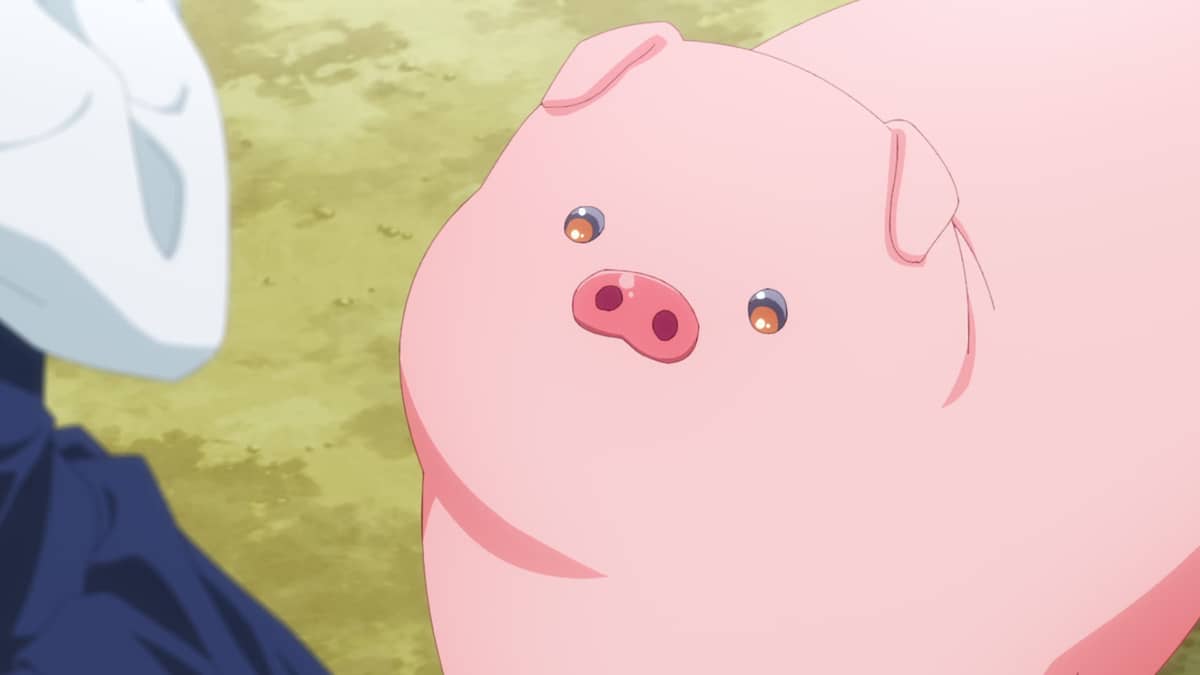 Butareba -The Story of a Man Turned into a Pig- Otakus Enjoy Being ...