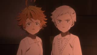 The promised discount neverland stream free