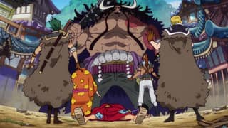 One piece episode 917 english online subbed