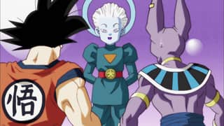 The Gods of Every Universe in Shock Losers Erased in the Tournament of Power