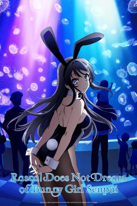 Watch Rascal Does Not Dream of Bunny Girl Senpai Crunchyroll