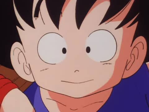 Dragon ball season 1 episode 1 secret of the dragon best sale balls